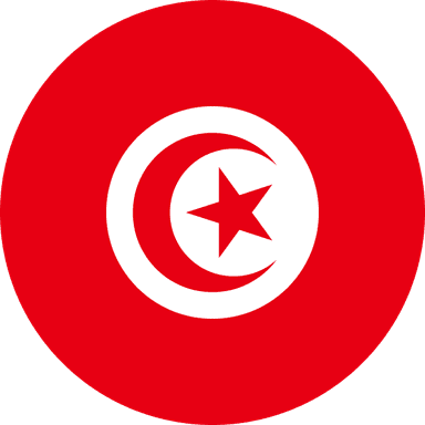 Turkey Flag Icon
