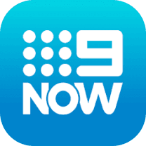 Download Icon