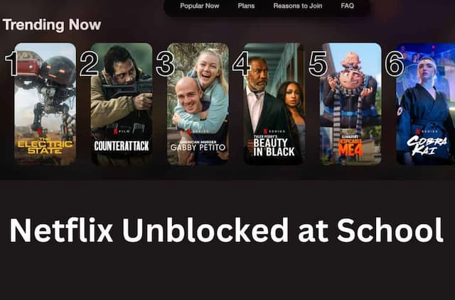 How to Watch Netflix Unblocked at School [100% Working]