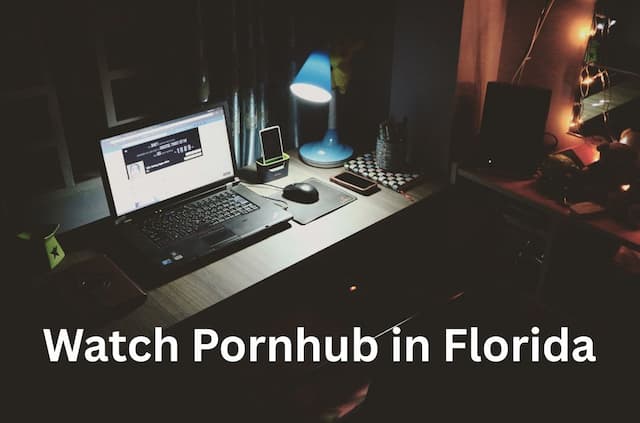 How to Watch Pornhub in Florida (2025): Bypass the Ban
